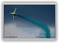 Saudi Hawks_11